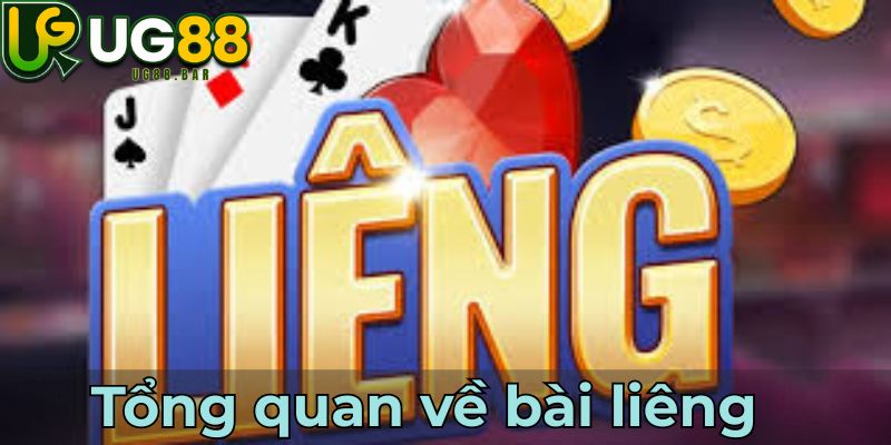 Tổng quan về bài liêng