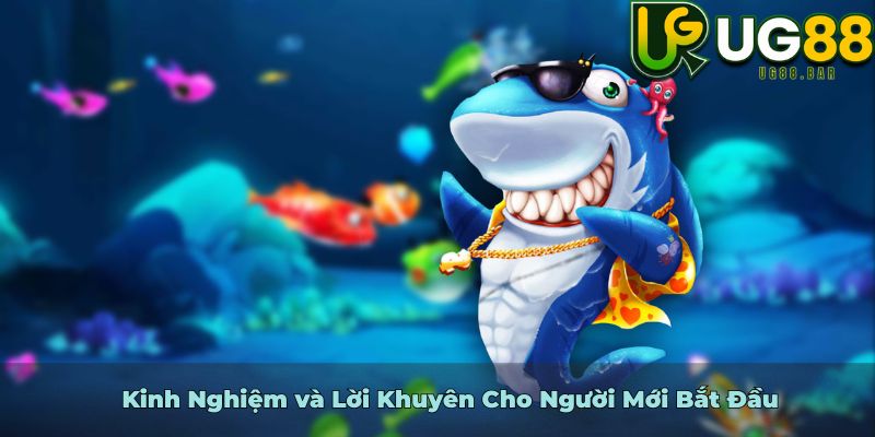 Kinh Nghiệm và Lời Khuyên Cho Người Mới Bắt Đầu